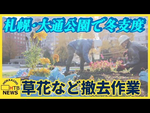 札幌・大通公園　冬支度はじまる　花壇では草花を撤去　来週は樹木に冬囲い