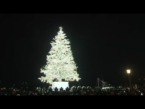 『はこだてクリスマスファンタジー』始まる 高さ20メートルのトドマツに約15万個の電球 今年はプロジェクションマッピングも実施 (23/12/01 19:30)