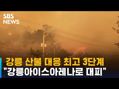 강릉 산불 대응 최고 3단계…강풍으로 헬기도 못 띄운다 / SBS