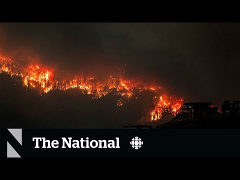 State of emergency in B.C. as Kelowna battles volatile wildfire