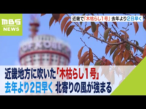 近畿地方で「木枯らし１号」…去年より２日早い　北寄りの風が強まる（2023年11月11日）