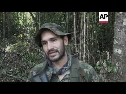 Search for missing children in Colombia's jungle