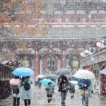 東京の初雪 1876年から2024年（明治10年〜令和6年）の寒候年記録