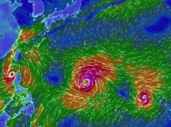 台風 2019年