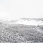 初冠雪・初雪