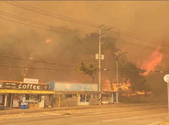 韓国 山火事