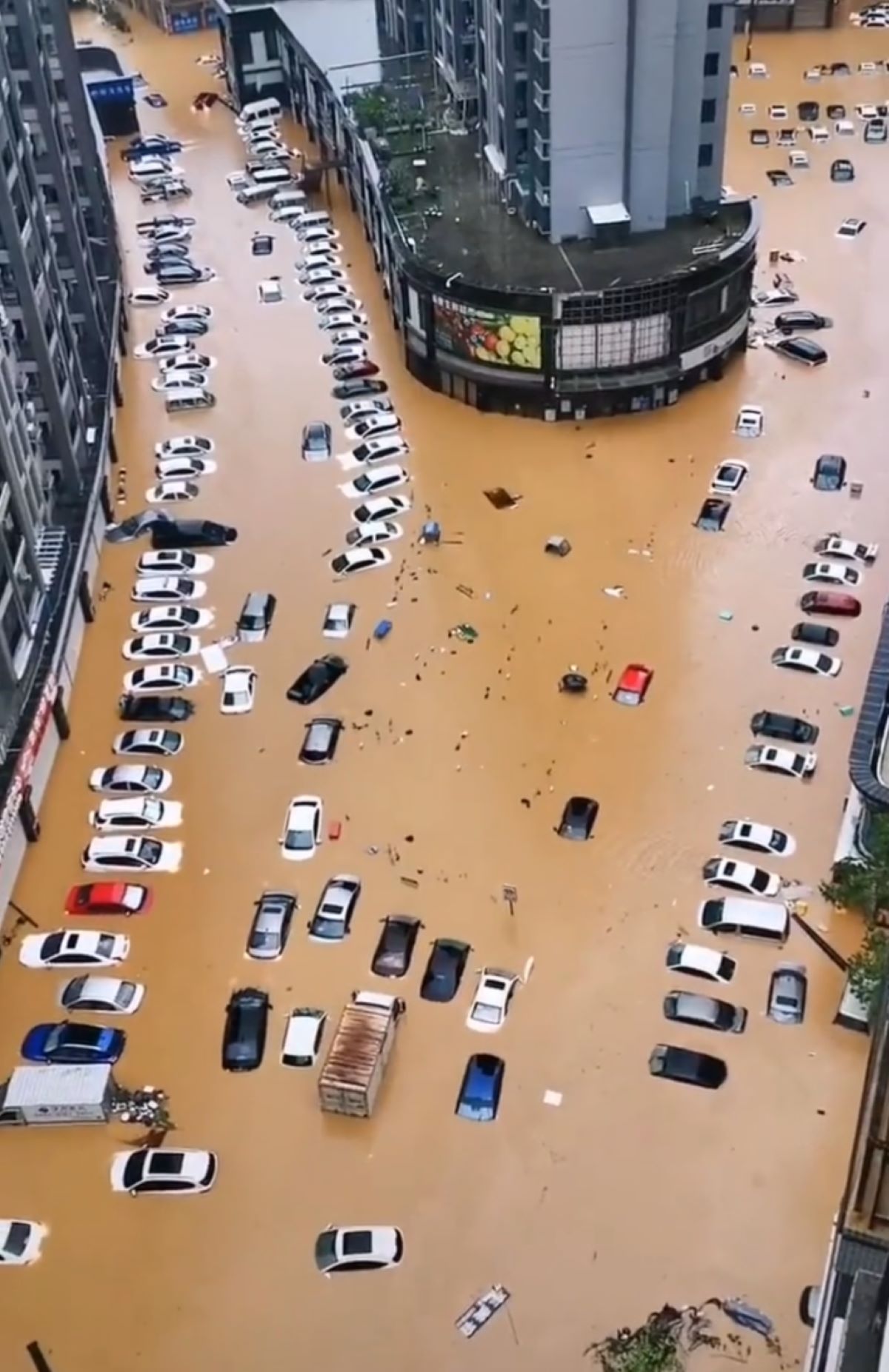 台風5号