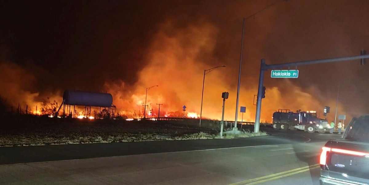 ハワイで大規模な山火事