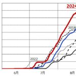 2024年は昨年に並び観測史上最も暑い夏 2年連続で統計開始以来の平均気温高く