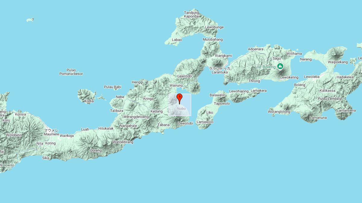 インドネシア・レウォトビ火山で大規模な噴火 気象庁は日本への津波の影響を調査中｜11月7日